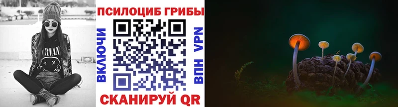 Псилоцибиновые грибы Psilocybine cubensis  Купить  Северск 