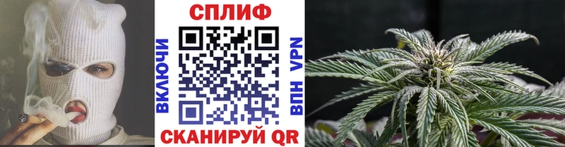 Купить закладки  Северск  Марихуана конопля 